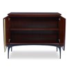 Cerro 2 Door Cabinet Cerro 2 Door Cabinet