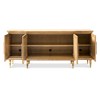 Larkin Multi-Use Cabinet