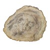 Branch Accent Table Branch Accent Table