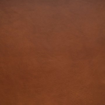 Defy Saddle
