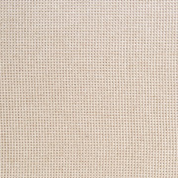 Raffia Natural Raffia Natural