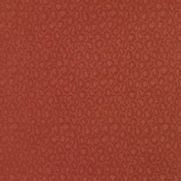 Spots Coral Spots Coral
