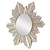 Vassar Mirror Vassar Mirror