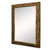 Tora Tiger Eye Mirror